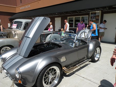 Cobra1
